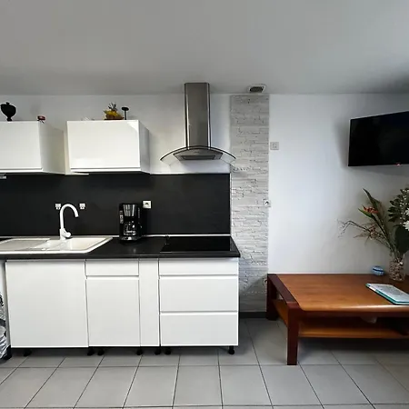 Apartmán T2 Avec Jardin, Parking Et Wifi A 1km Des Thermes - Fr-1-541-155 La Roche-Posay