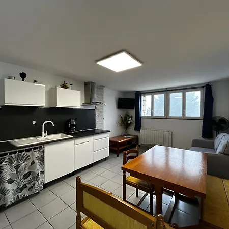 T2 Avec Jardin, Parking Et Wifi A 1km Des Thermes - Fr-1-541-155 Apartmán La Roche-Posay