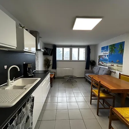T2 Avec Jardin, Parking Et Wifi A 1km Des Thermes - Fr-1-541-155 * La Roche-Posay